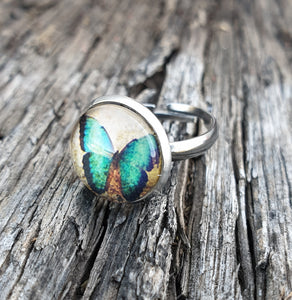 TURQUOISE BUTTERFLY CAB RING