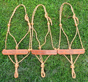 TROPHY ROPE HALTERS - Discounts for multiples