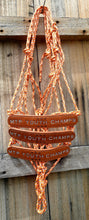 Load image into Gallery viewer, TROPHY ROPE HALTERS - Discounts for multiples

